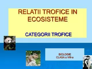 relatii trofice in ecosisteme categorii trofice