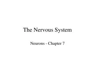 The Nervous System