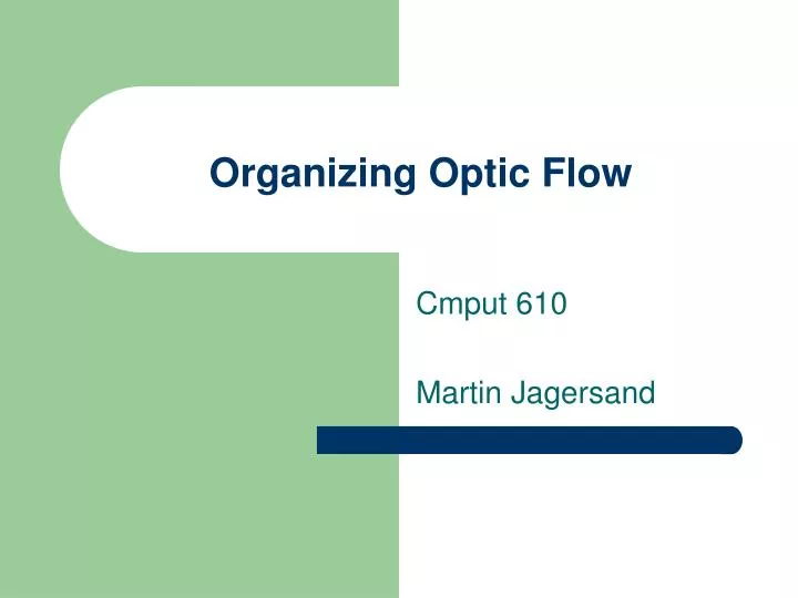 organizing optic flow