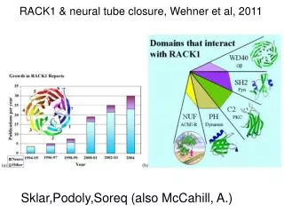 RACK1 &amp; neural tube closure, Wehner et al, 2011