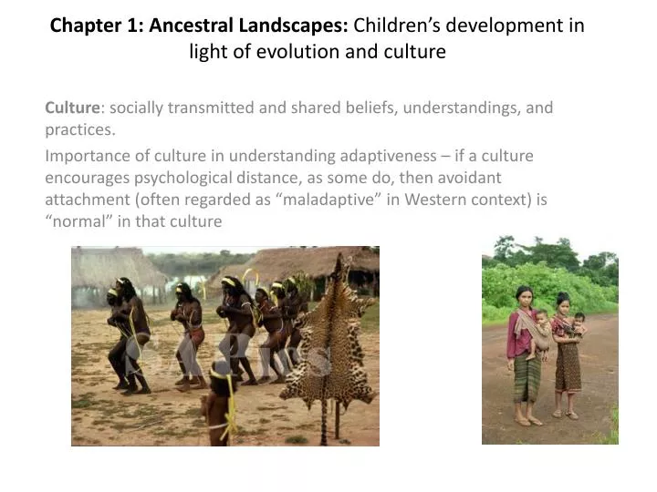 chapter 1 ancestral landscapes children s development in light of evolution and culture