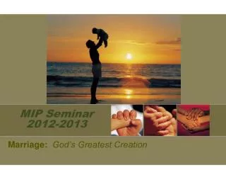 MIP Seminar 2012-2013