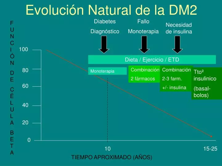 evoluci n natural de la dm2