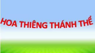 hoa thi ng th nh th