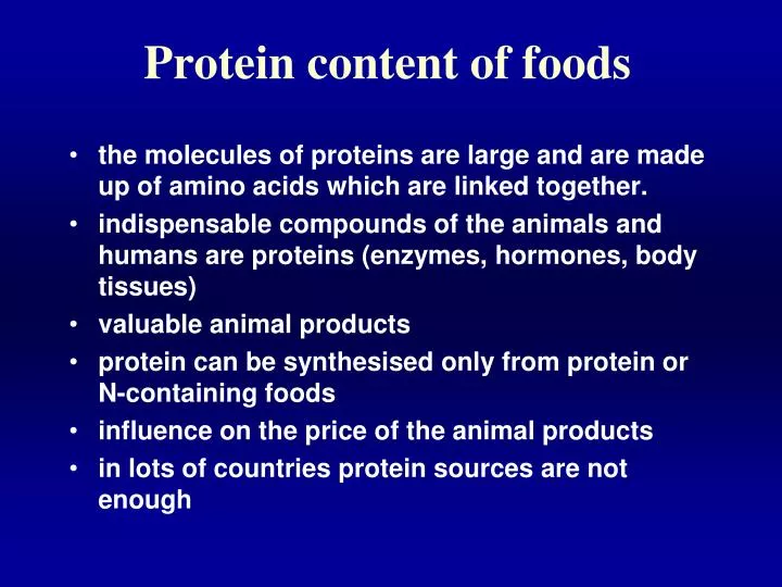 protein content of foods