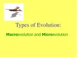 Types of Evolution: - slide 1
