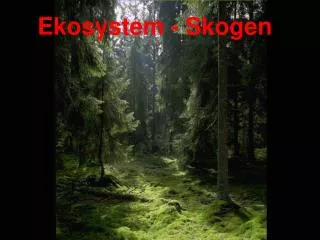 ekosystem skogen