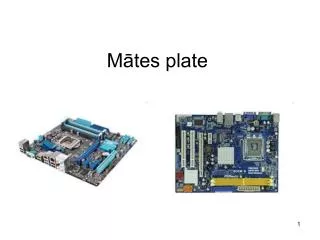 m tes plate
