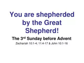You are shepherded by the Great Shepherd!