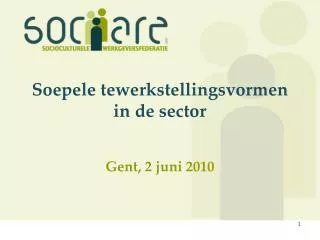 soepele tewerkstellingsvormen in de sector