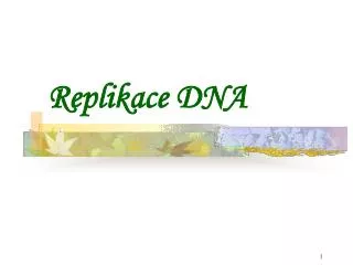replikace dna