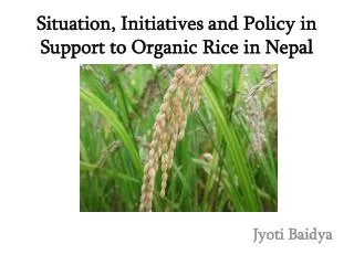 Situation , Initiatives and Policy in Support to Organic Rice in Nepal