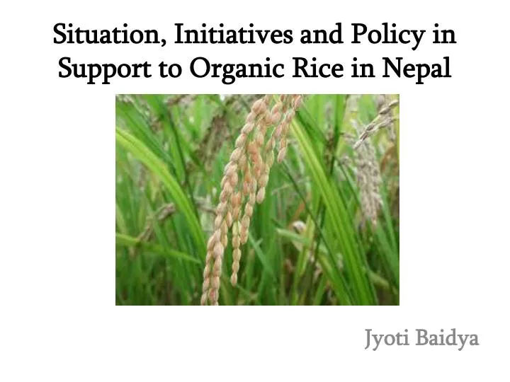 situation initiatives and policy in support to organic rice in nepal