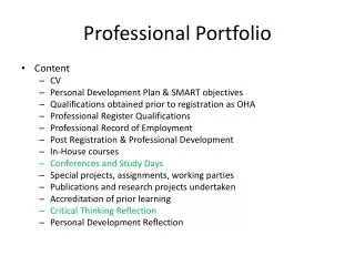 Professional Portfolio