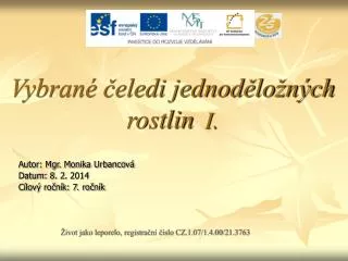 vybran eledi jednod lo n ch rostlin i