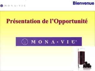 pr sentation de l opportunit