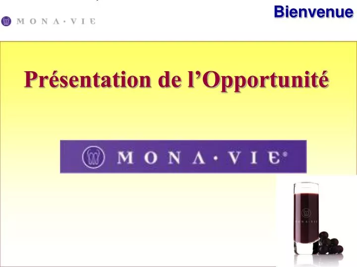 pr sentation de l opportunit