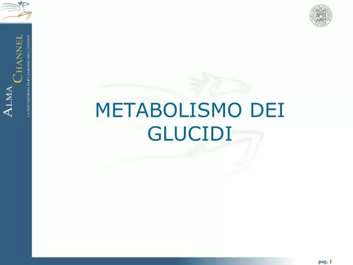 metabolismo dei glucidi