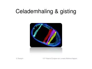 celademhaling gisting