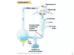 Water vapor - slide 1