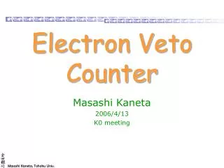 Electron Veto Counter