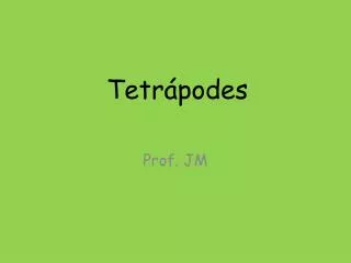 Tetrápodes