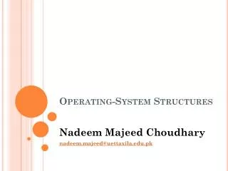operating system structures