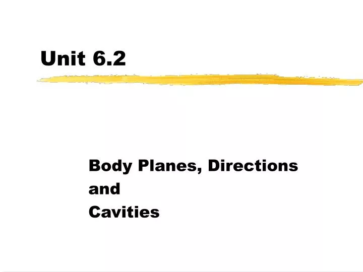 unit 6 2