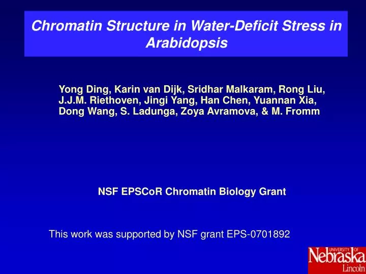chromatin structure in water deficit stress in arabidopsis