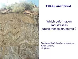 Which deformation and stresses cause theses structures ?