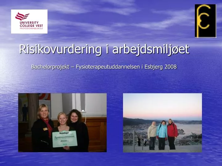 risikovurdering i arbejdsmilj et bachelorprojekt fysioterapeutuddannelsen i esbjerg 2008