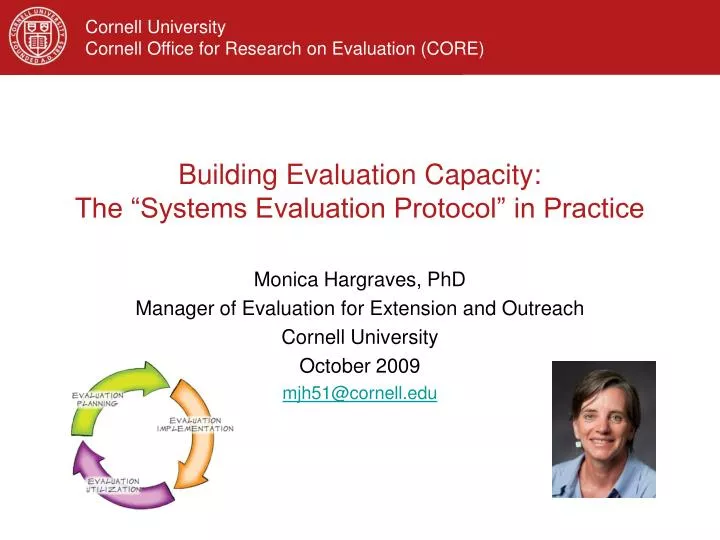 building evaluation capacity the systems evaluation protocol in practice