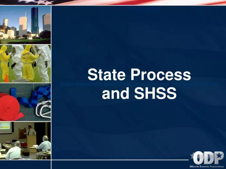 state process and shss