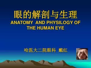 眼的解剖与生理 ANATOMY AND PHYSILOGY OF THE HUMAN EYE