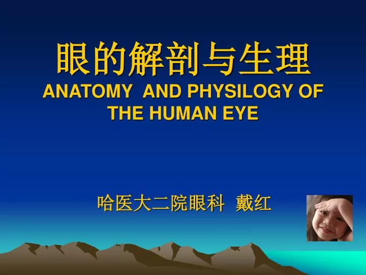 anatomy and physilogy of the human eye
