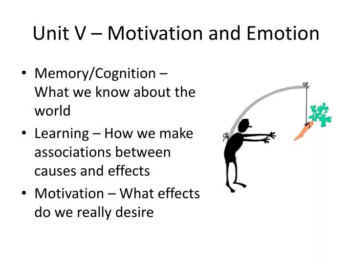 unit v motivation and emotion
