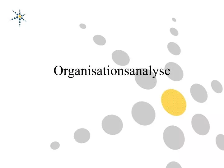 organisationsanalyse