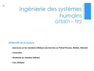 Ingénierie des systèmes humains GTS501 – TP2