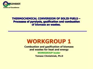 WORKGROUP 1 Combustion and gasification of biomass and wastes for heat and energy WORKGROUP leader