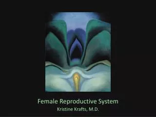 Female Reproductive System Kristine Krafts, M.D.