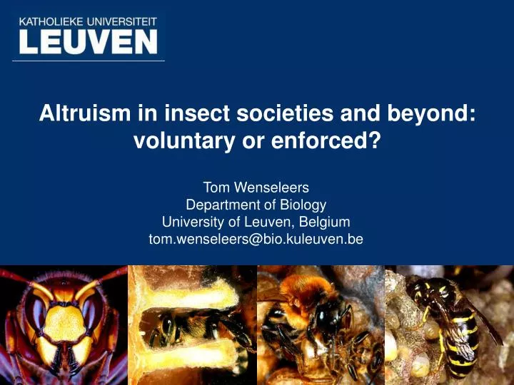 altruism in insect societies and beyond voluntary or enforced