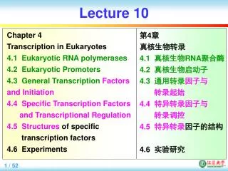 lecture 10