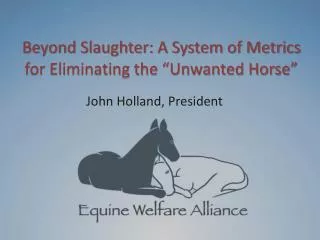 Beyond Slaughter: A System of Metrics for Eliminating the “Unwanted Horse”
