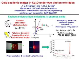 Cold excitonic matter in Cu 2 O under two-photon excitation