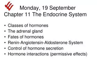 Monday, 19 September Chapter 11 The Endocrine System