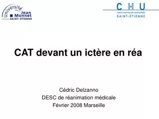 cat devant un ict re en r a