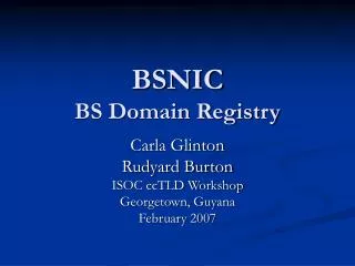 BSNIC BS Domain Registry