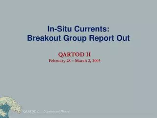 In-Situ Currents: Breakout Group Report Out