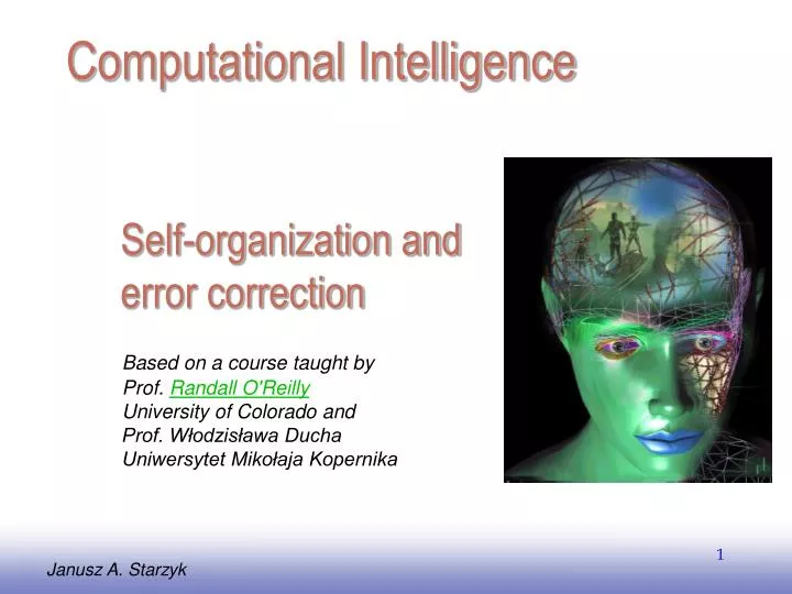 self organization and error correction