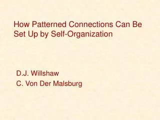 How Patterned Connections Can Be Set Up by Self-Organization